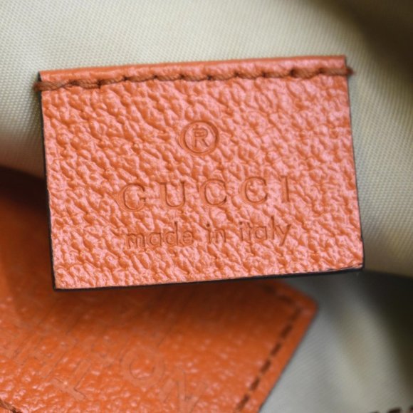 GUCCI  X North Face Canvas Waist Belt Bag Beige - Picture 13 of 15